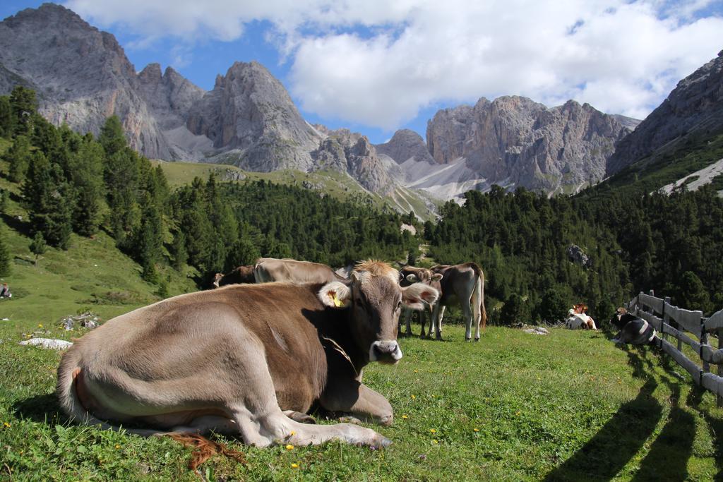 Apartments Vaiolet Santa Cristina Val Gardena Екстериор снимка