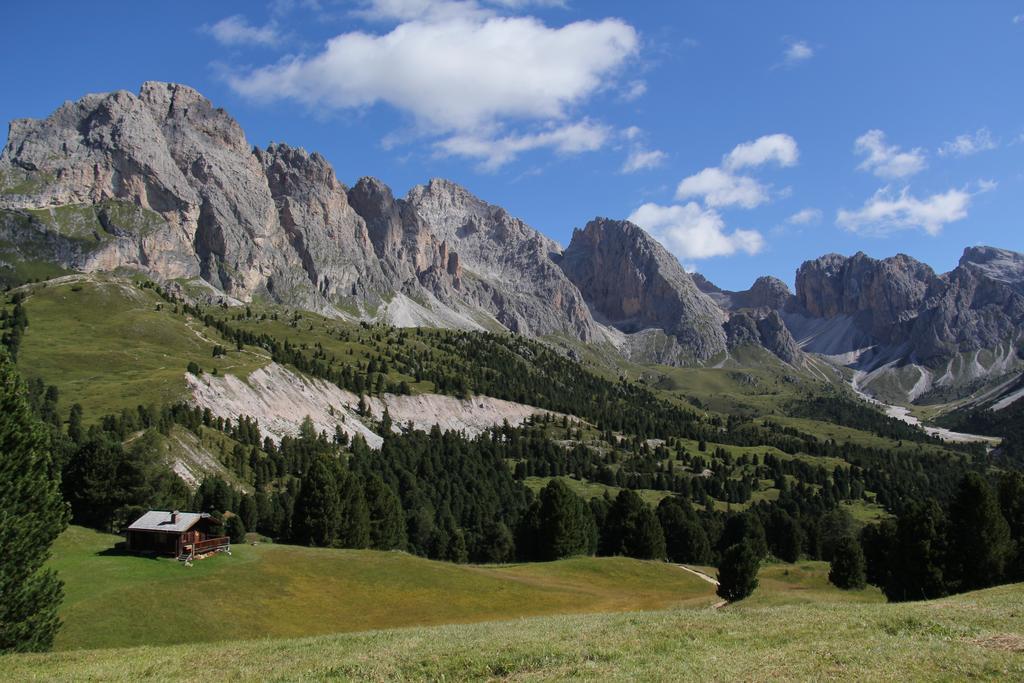 Apartments Vaiolet Santa Cristina Val Gardena Екстериор снимка