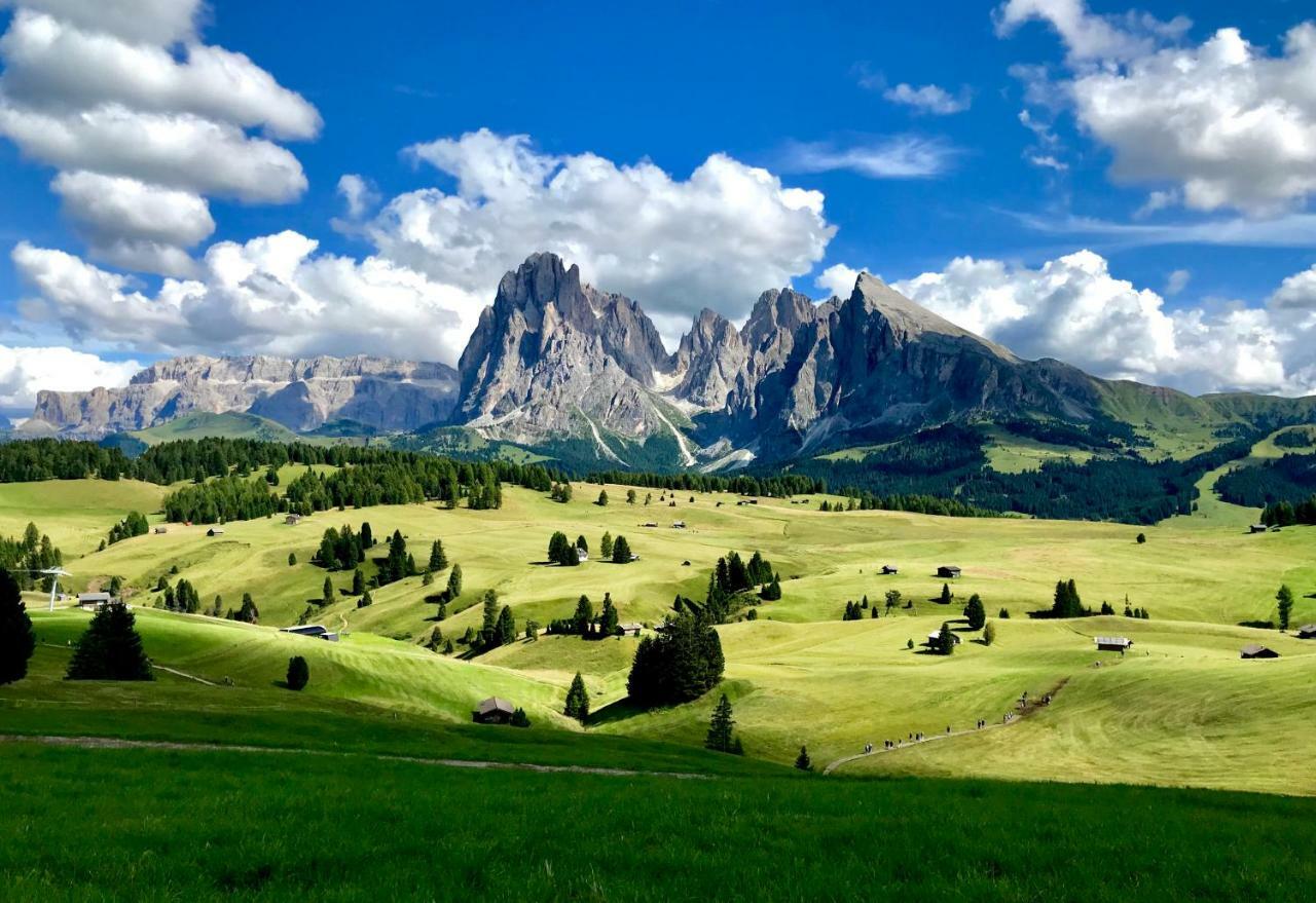 Apartments Vaiolet Santa Cristina Val Gardena Екстериор снимка