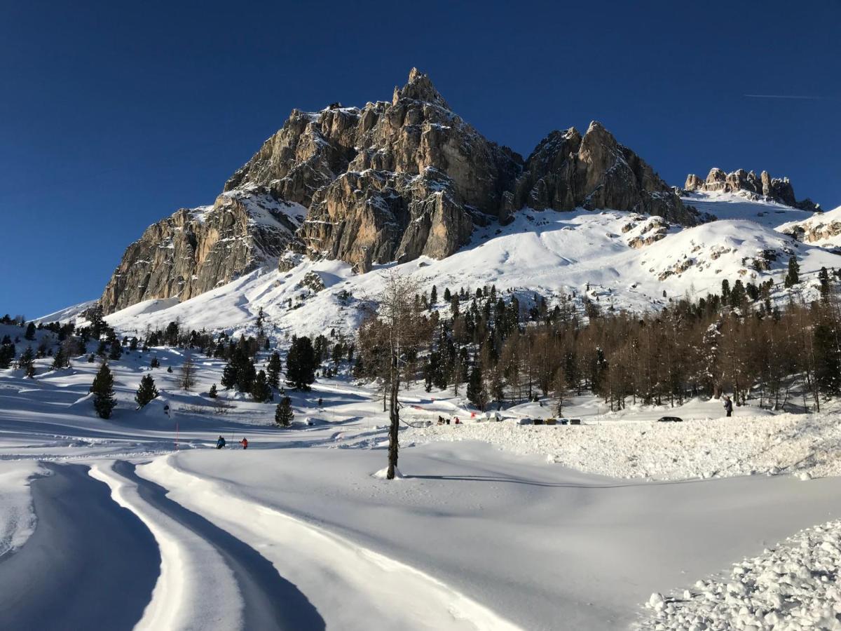 Apartments Vaiolet Santa Cristina Val Gardena Екстериор снимка