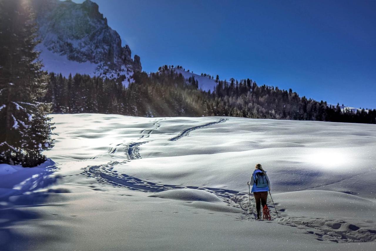 Apartments Vaiolet Santa Cristina Val Gardena Екстериор снимка