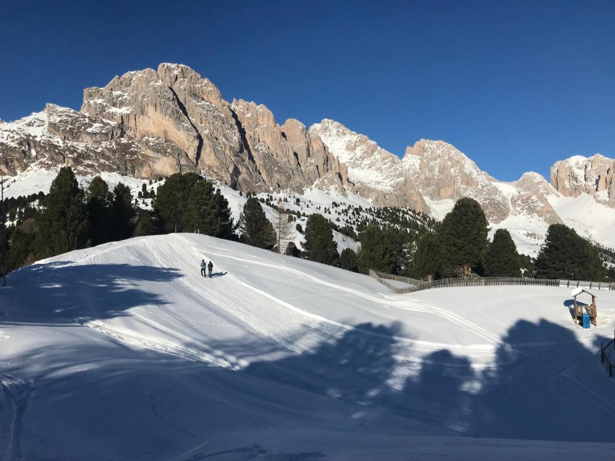 Apartments Vaiolet Santa Cristina Val Gardena Екстериор снимка