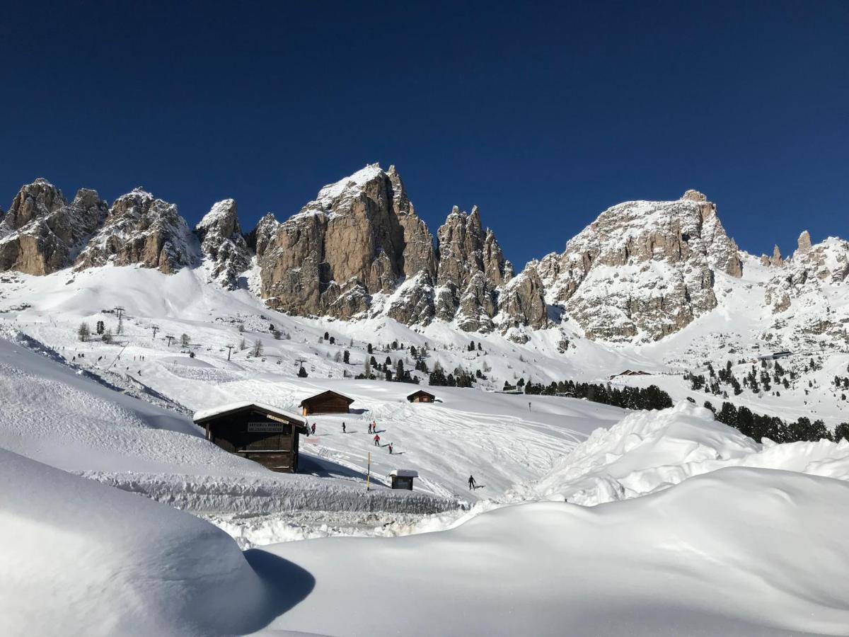 Apartments Vaiolet Santa Cristina Val Gardena Екстериор снимка