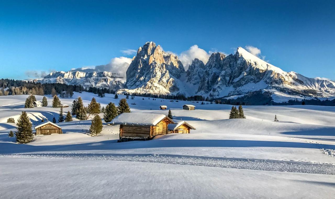 Apartments Vaiolet Santa Cristina Val Gardena Екстериор снимка